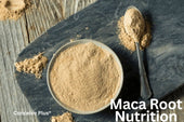 Maca Root Nutrition and Its Benefits for Fertility Health? - Conceive Plus®