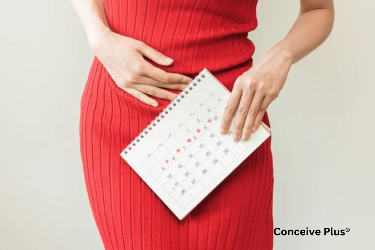 When Will I Get My Period? | Conceive Plus®