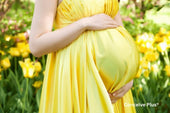 Which Round Can Make a Woman Pregnant? A Strategic Look at Fertile Timing - Conceive Plus®