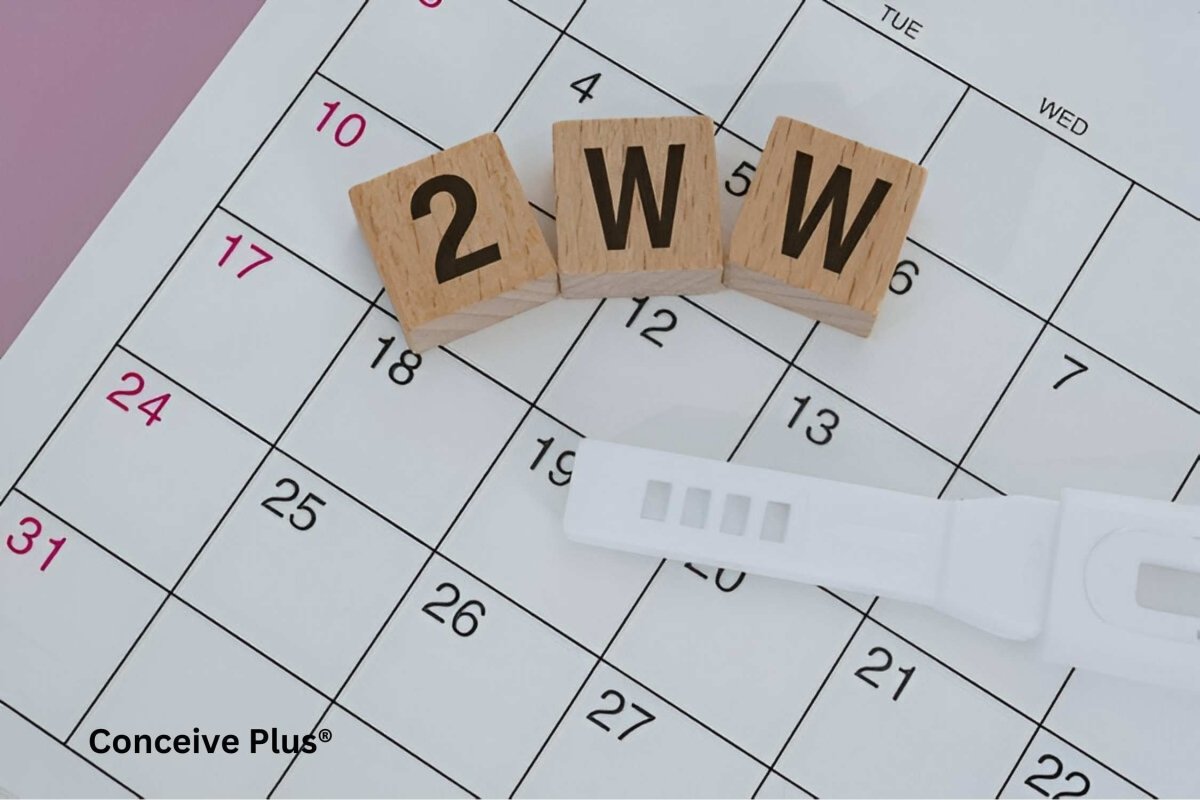 2 Week Wait: Navigating The Symptoms, Expectations, and What to Know - Conceive Plus®