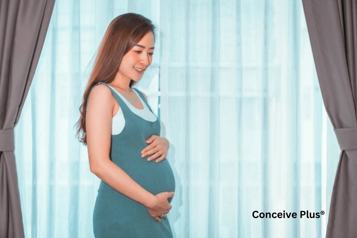 20 Weeks Belly: What to Expect and How to Care for It - Conceive Plus®