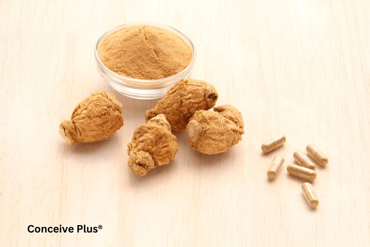 Best Maca Root for Fertility: How to Pick the Right Type for You - Conceive Plus®