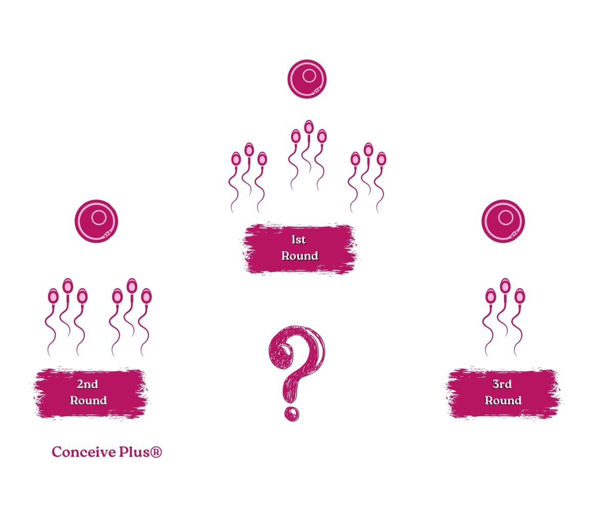 Can The Third Round Sperms Make A Woman Pregnant? - Conceive Plus®