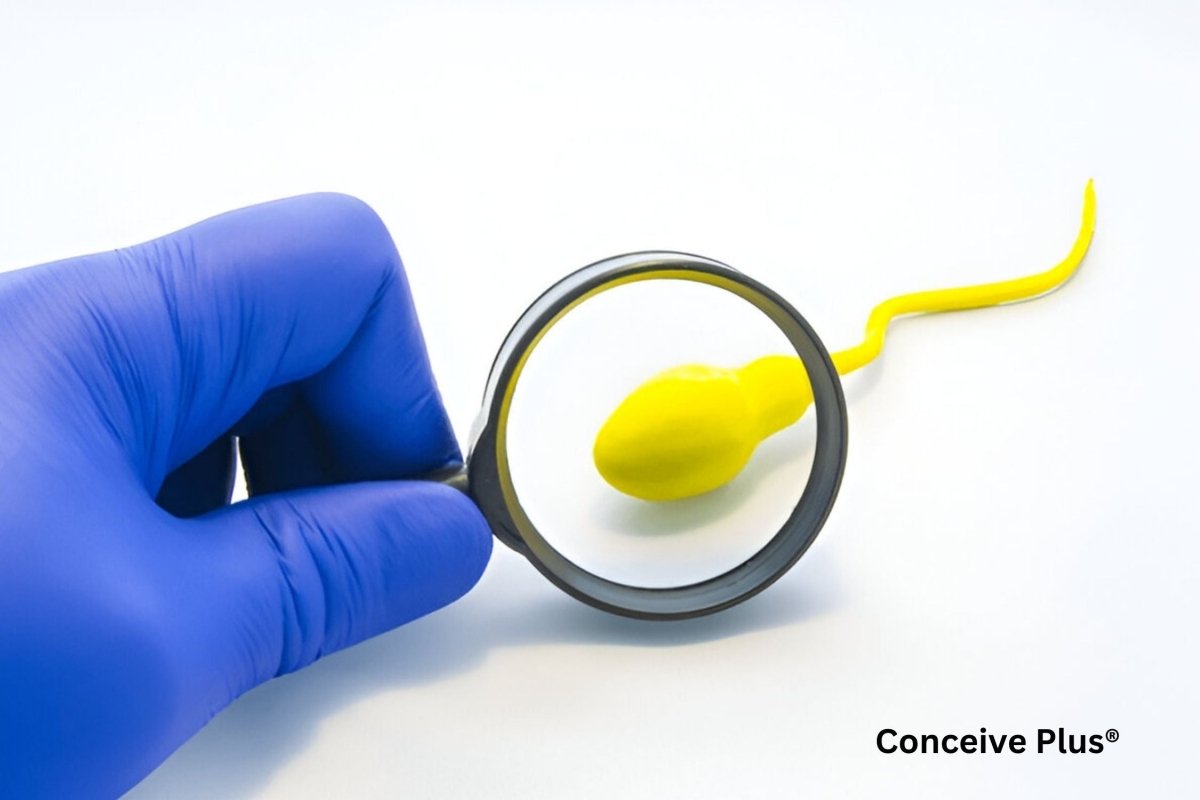 Color De Esperma Infertil OR Infertile Sperm Color - Conceive Plus®