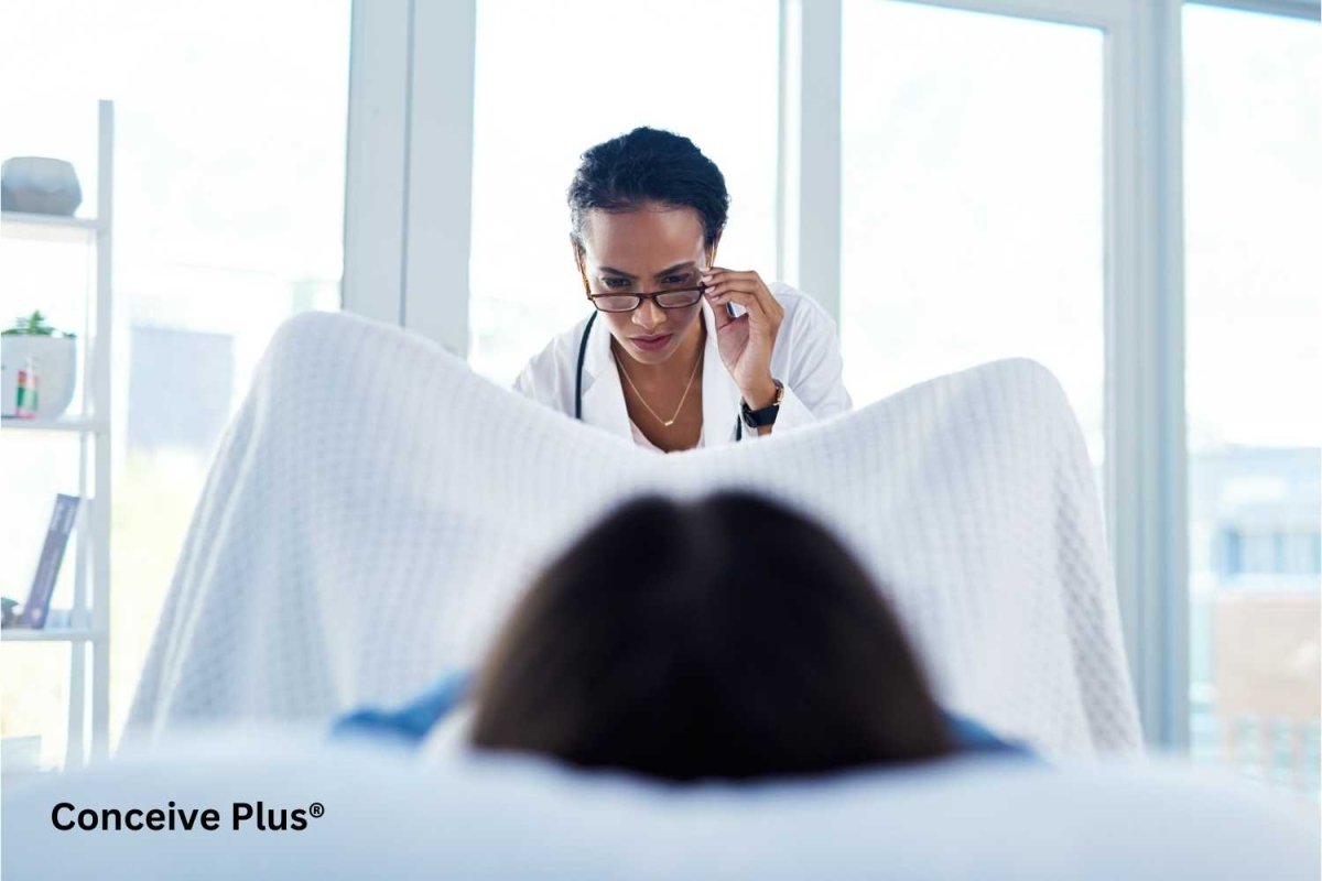 Discharge Before Period vs Early Pregnancy: Identifying Egg White and Other Types - Conceive Plus®