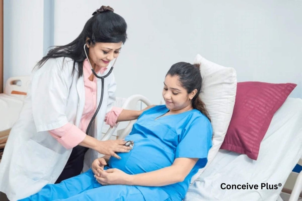 Fertility Clinic Charlotte NC: Top 4 IVF Centers - Conceive Plus®