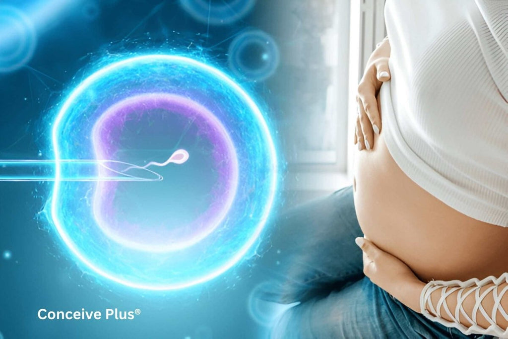 How Does Sperm Collection for IVF Work and What to Expect - Conceive Plus®