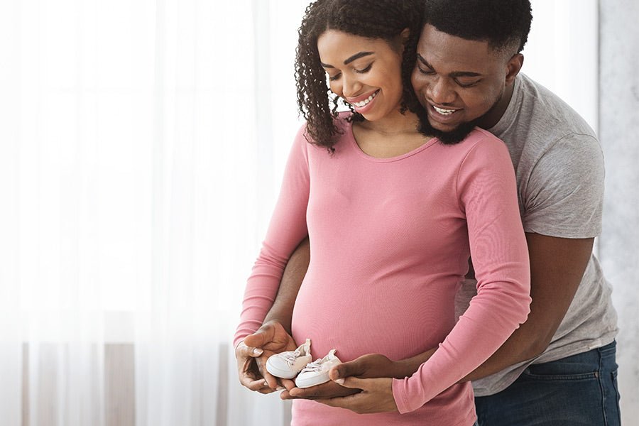 How Does Sperm vs Egg Contribute to Fertilization - Conceive Plus®