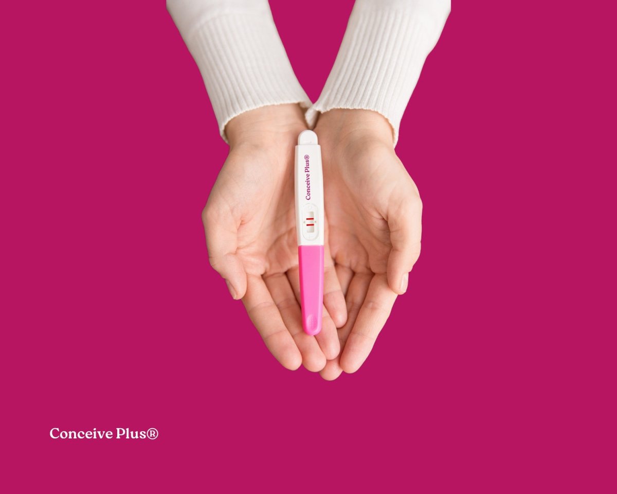 How to Tell If You Have Achieved Pregnancy? - Conceive Plus®