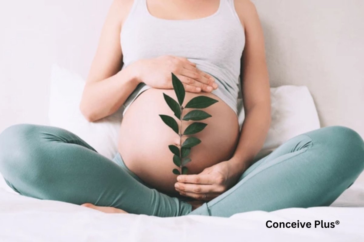 Inositol Fertility Insights: What You Should Know to Support Conception - Conceive Plus®