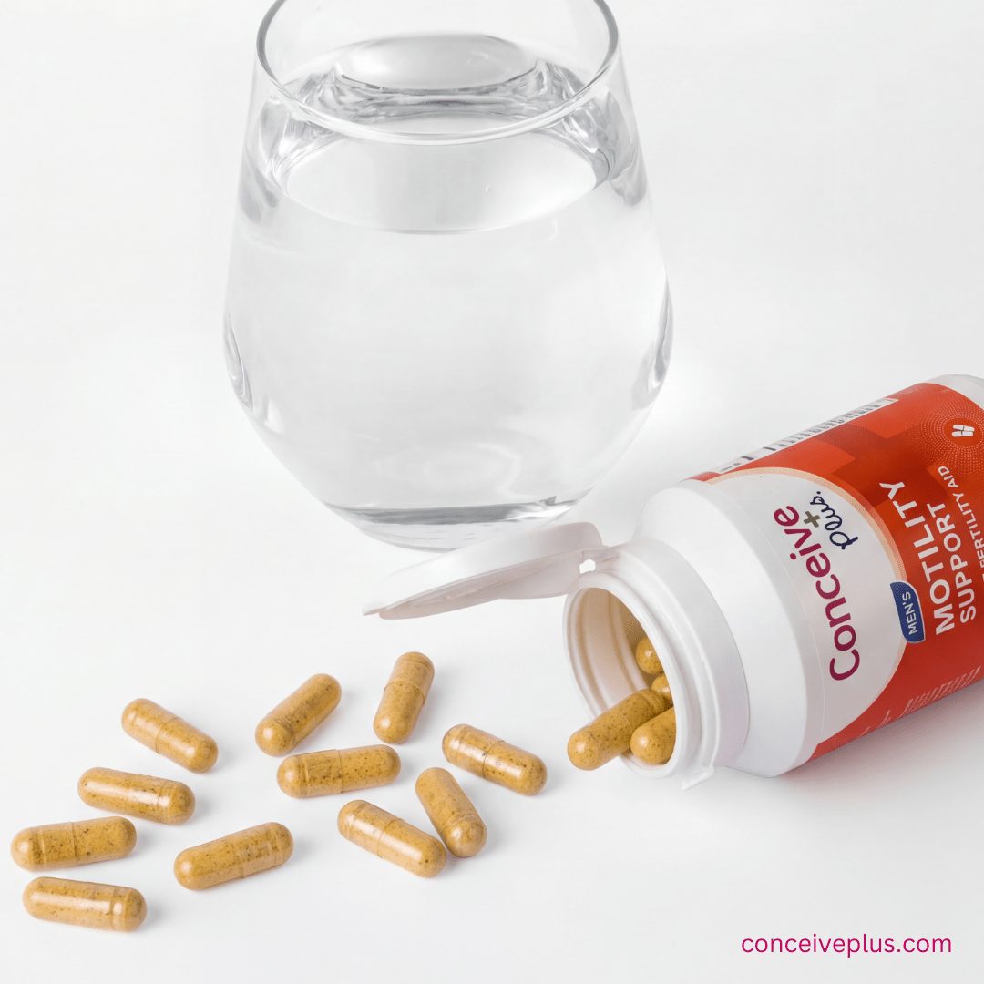 The Fertility Diet: Evidence-Based Nutrition Strategies to Boost Your Chances of Conception - Conceive Plus®