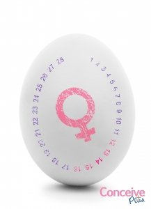 Understanding Your Ovulation Cycle and Falling Pregnant - CONCEIVE PLUS