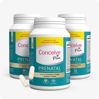 Prenatal Supplement